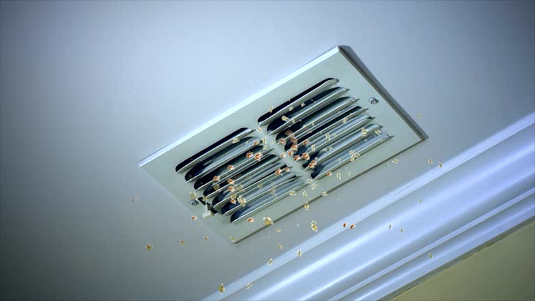 Best Air Duct Cleaning Near Me  in Level Green, PA
