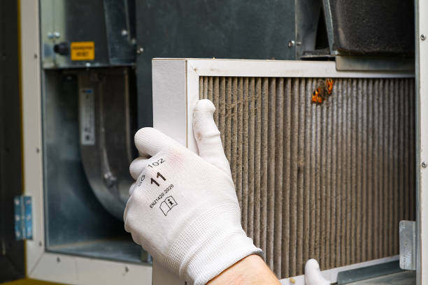 Best Residential Air Duct Cleaning  in Level Green, PA